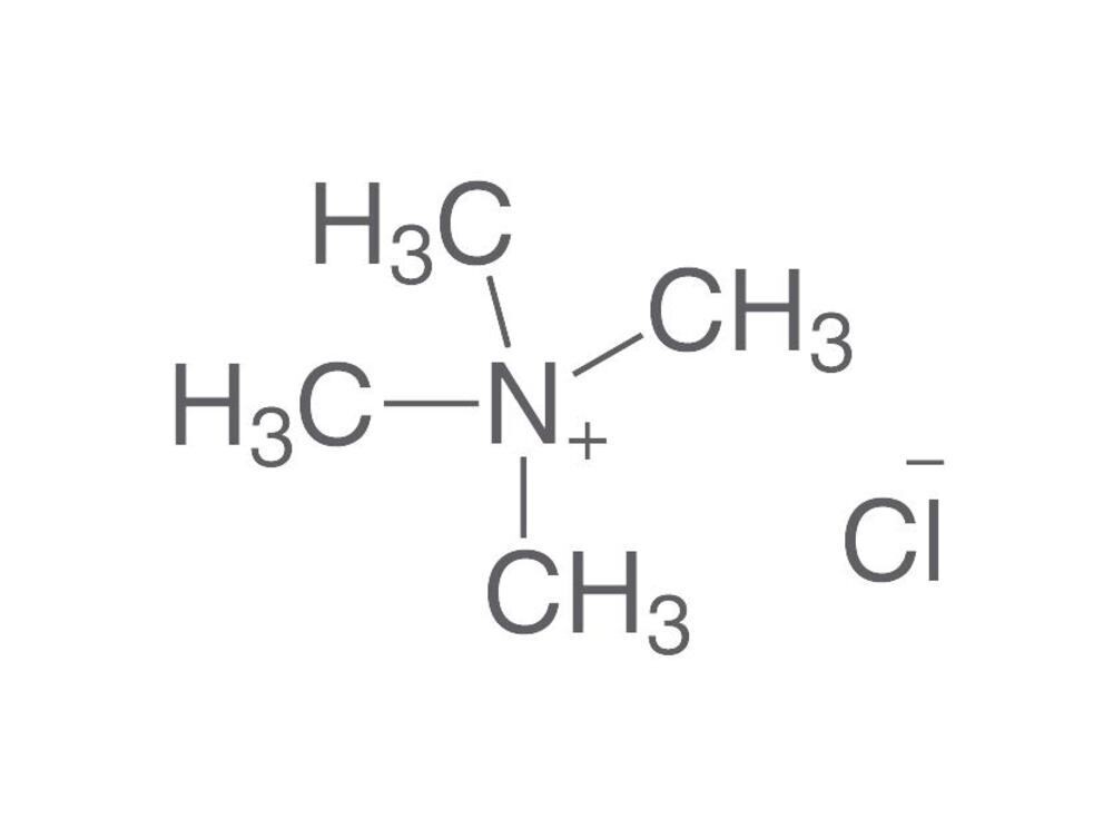 Tetramethylammonium chloride, min. 98%, for synthesis, 100 g, plastic packaging.