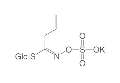 Sinigrin monohydrate, ROTICHROM® CHR, 250 mg, glass packaging