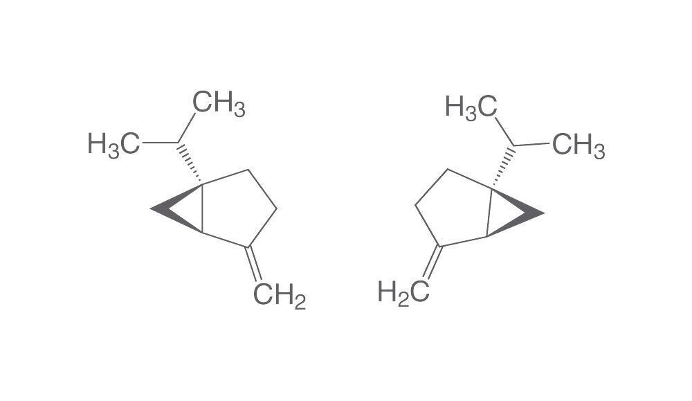 Sabinen, ROTICHROM® GC, 100 mg, glass packaging
