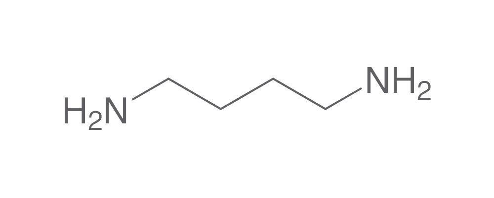 Putrescine, min. 99%, for biochemistry, 100 g, glass packaging