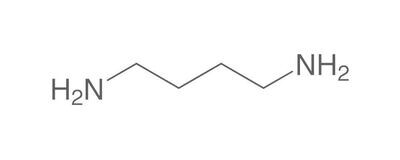 Putrescine, min. 99%, for biochemistry, 100 g, glass packaging
