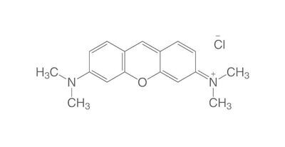Pyronin G (C.I. 45005), reinst, 1 g, Glasverpackung
