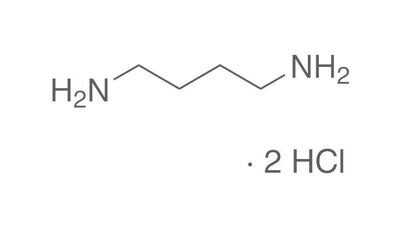 Putrescine dihydrochloride, min. 97%, for biochemistry, 25 g, glass packaging
