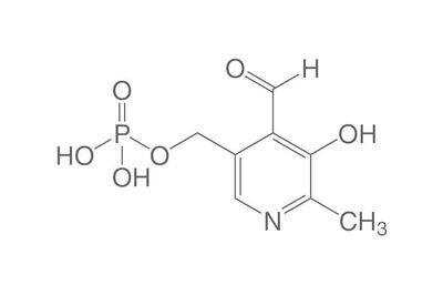 Pyridoxal phosphate, min 98%, for biochemistry, 1 g, glass packaging