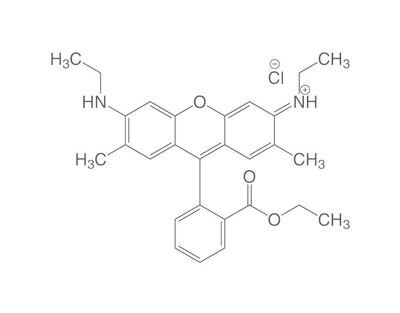 Rhodamin 6G (C.I. 45160), rein, 100 g, Glasverpackung
