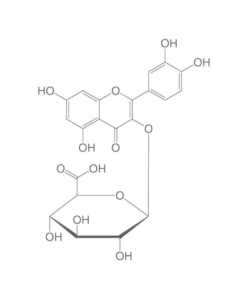Quercetin-3-Ob-Glucuronide, ROTICHROM® Working Standard, 50 mg, glass packaging