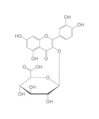 Quercetin-3-Ob-Glucuronide, ROTICHROM® Working Standard, 50 mg, glass packaging