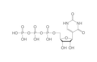 Pseudouridina-5&#39;-trifosfato, ≥95 %, 50 µl, envase de plástico.