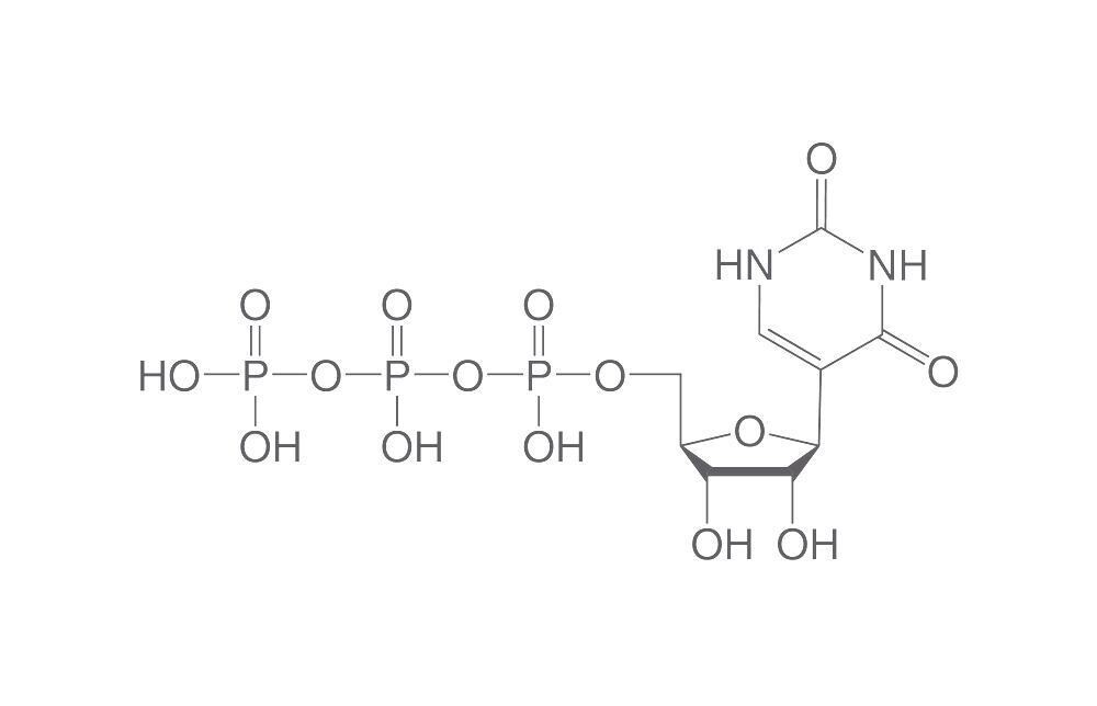 Pseudouridine-5&#39;-triphosphate, ≥95%, 10 µl, plastic packaging.