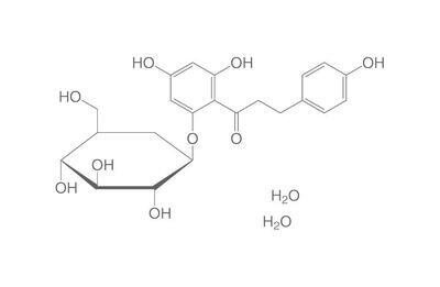 Florizina dihidrato, mínimo 98%, para bioquímica, 10 g, envase de plástico.