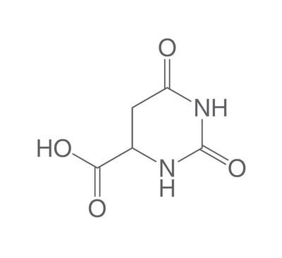 Acide orotique, min 99 %, anhydre, 25 g, emballage plastique.