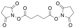 Di-(N-succinimidyl) glutarate (DSG) 5 g
