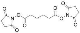 Di-(N-succinimidyl) adipate 10 g