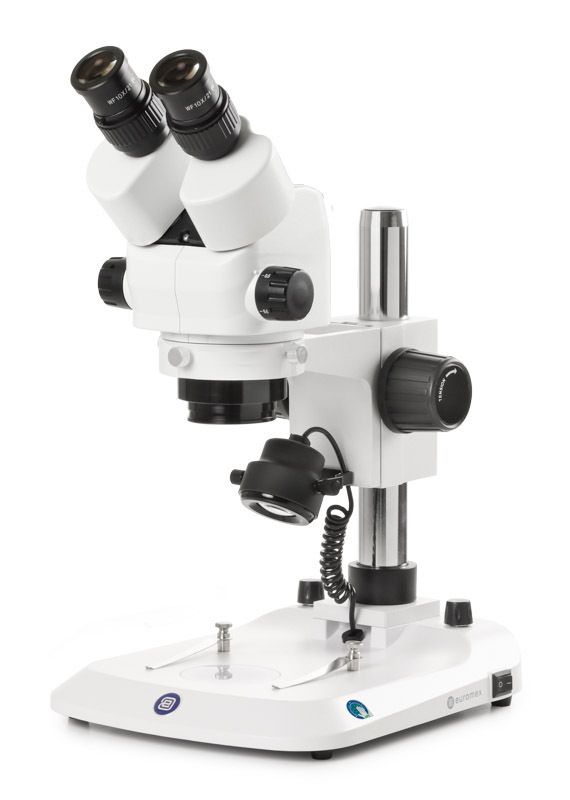 StereoBlue SB.1702-P Stereo microscope Biocular with 0.5 - 5.5x zoom EVO and Column stand with 3 W LED