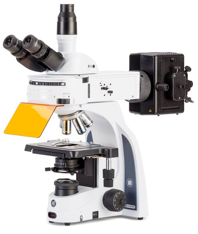 Trioculaire à fluorescence iScope IS.3153-PLi/3 avec objectifs Plan PLi 4x/10x/S40x et S100x et source de lumière HBO 100 W (fixation traîneau à 3 positions)