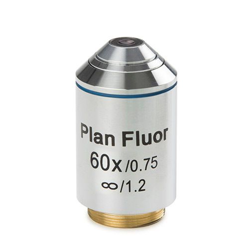 Long working distance plan Fluarex 60x/0.75 infinity corrected IOS objective, corrected for 1 mm petri dish thickness