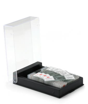 Set micropreparati 3 (25 pezzi)