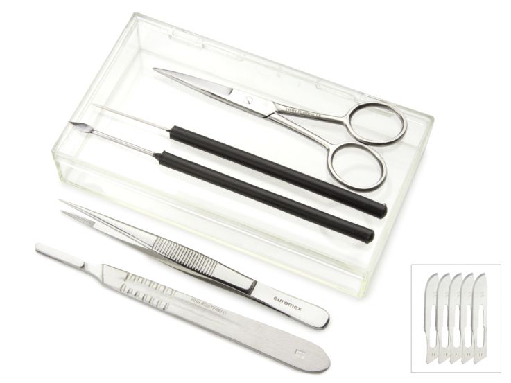 6-piece preparation set in plastic box