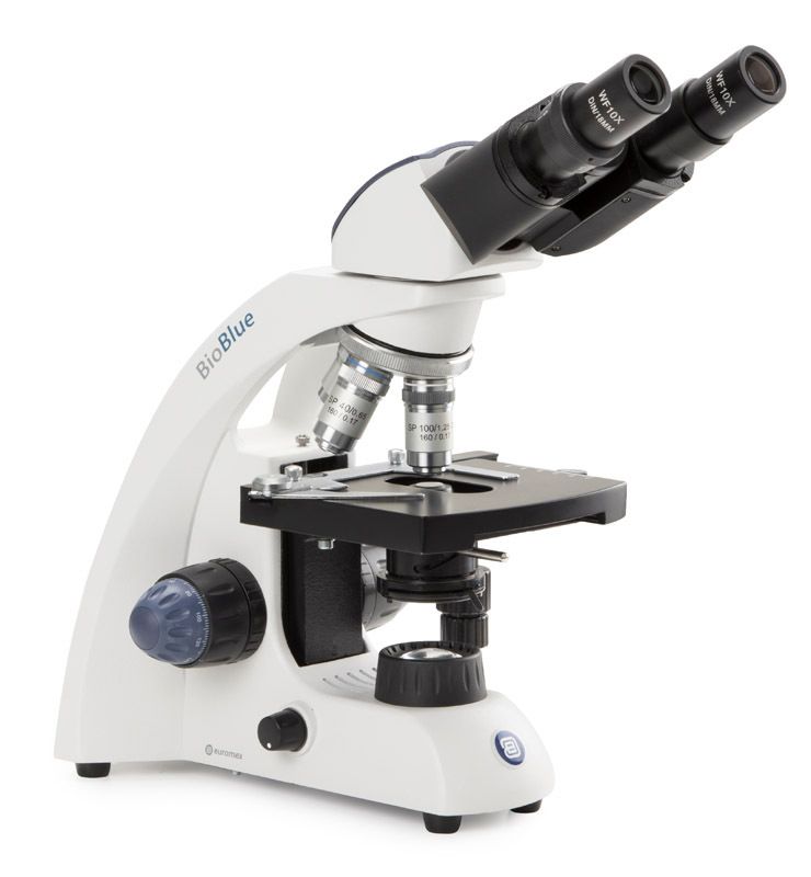 BioBlue BB.4263 bioculare con obiettivi 4x/10x/40x/S60x, con tavola a croce