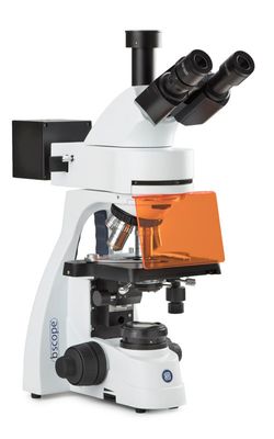 bScope fluorescence BS.3153-PLi Triocular with Five-way revolver Plan PLi 4/10/S40/S100x
