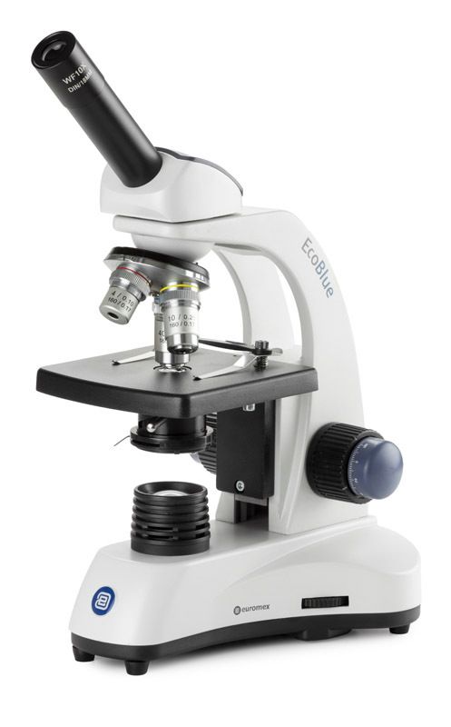 EcoBlue EC.1001-P-HLED-S Monoculare con obiettivi 4x/10x/S40x, polarizzazione, senza tavola a croce
