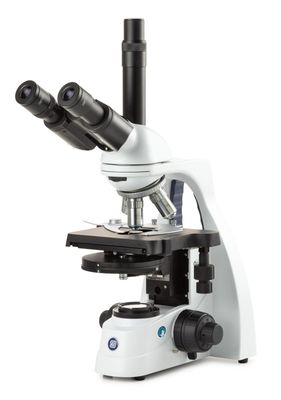 bScope BS.1152-PLPHi for phase contrast. Biocular with HWF 10x/20 mm eyepieces and Fivefold revolver E-plan Phase IOS 10/20/S40 S100x