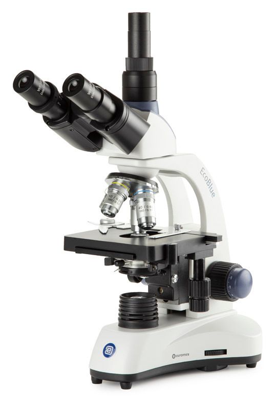 Trioculaire EcoBlue EC.1103-P-HLED-S avec objectifs 4x/10x/S40x/S100x, polarisation, sans table croisée