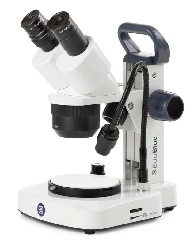 EduBlue ED.1402-EVO Estereomicroscopio biocular con objetivos 2x/4x y mesa de objetos móviles/brazo de luz flexible