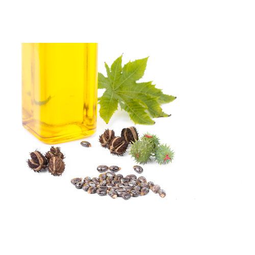 Castor Oil, First Pressing, Extra Pure 100ml