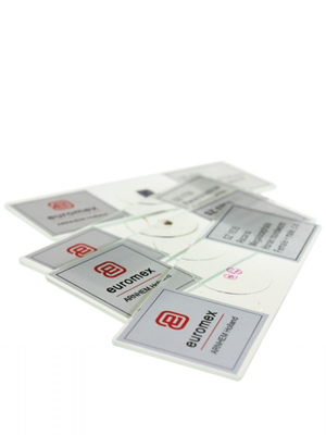 Individual EuroSlides for Botany, Lilium, lily, overy, cs