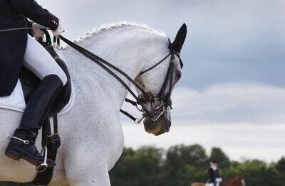 Cheval