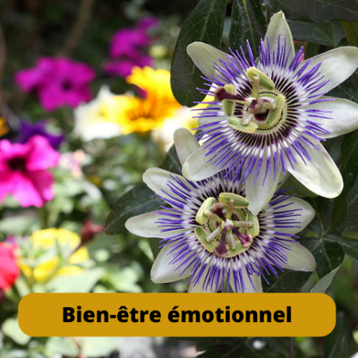 Bien-être émotionnel