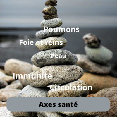 Axes santé