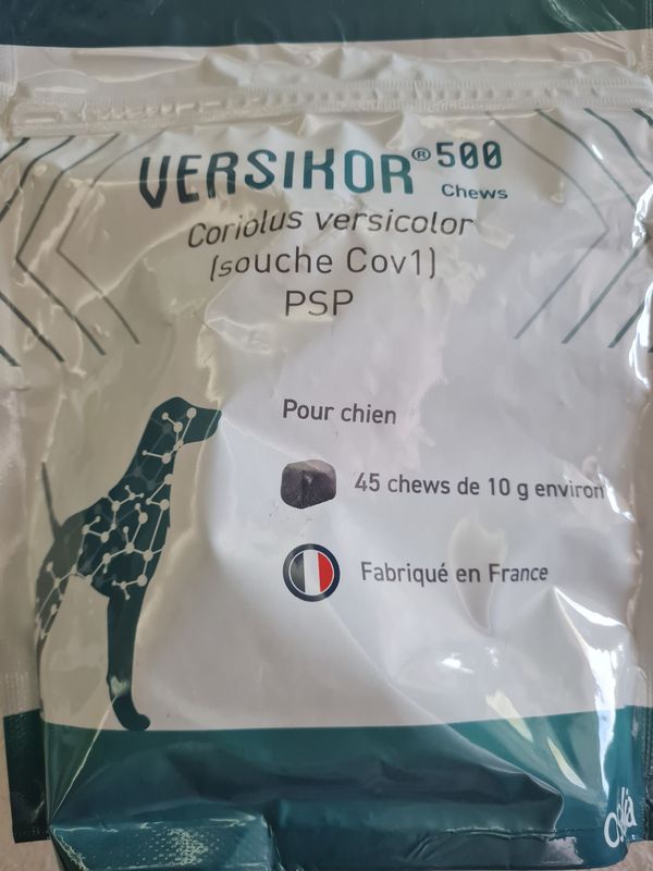 Versikor chews pour chien, sachet de 45 chews