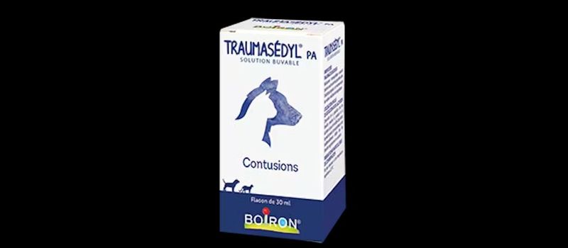 Traumasedyl PA BOIRON