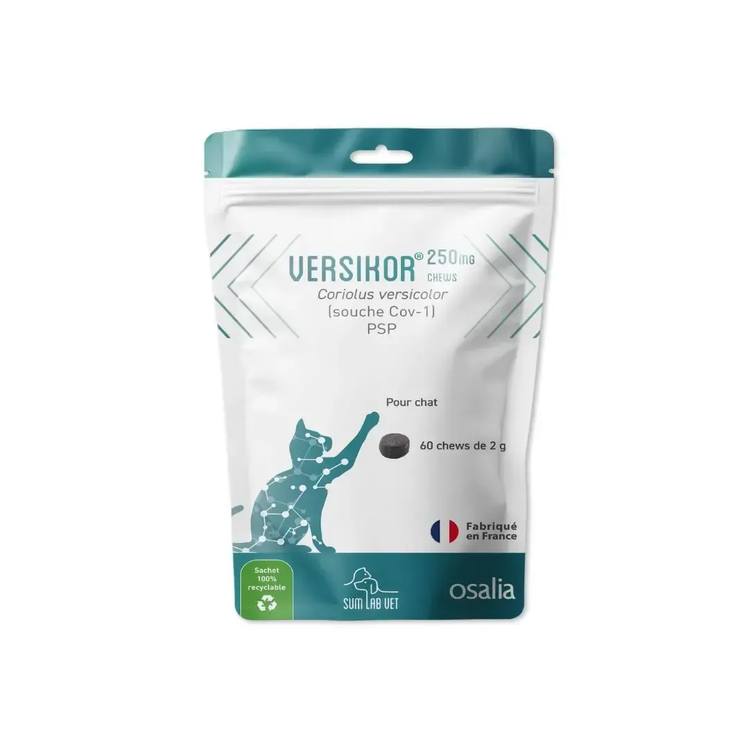 Versikor chat