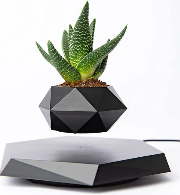Levitating  Plant Pot