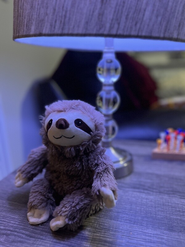 Cuddles Sloth