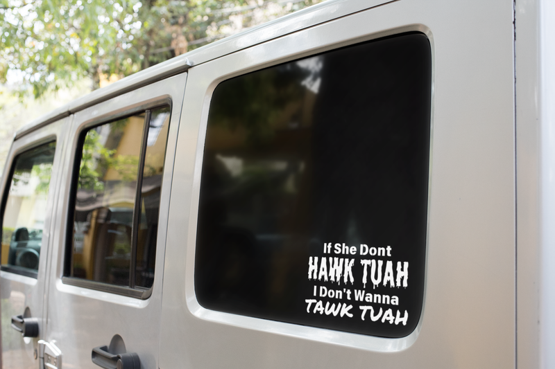 If She Don&#39;t HAWK TUAH I Don&#39;t Wanna TAWK TUAH Decals