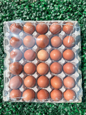 Egg Flat (30 eggs)