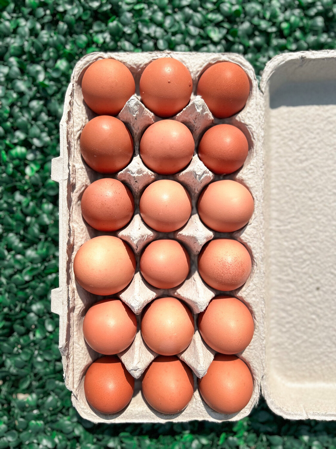 18 Pack Egg Carton