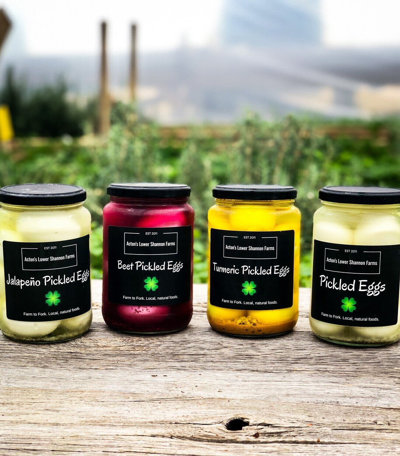 Turmeric Pickled Eggs