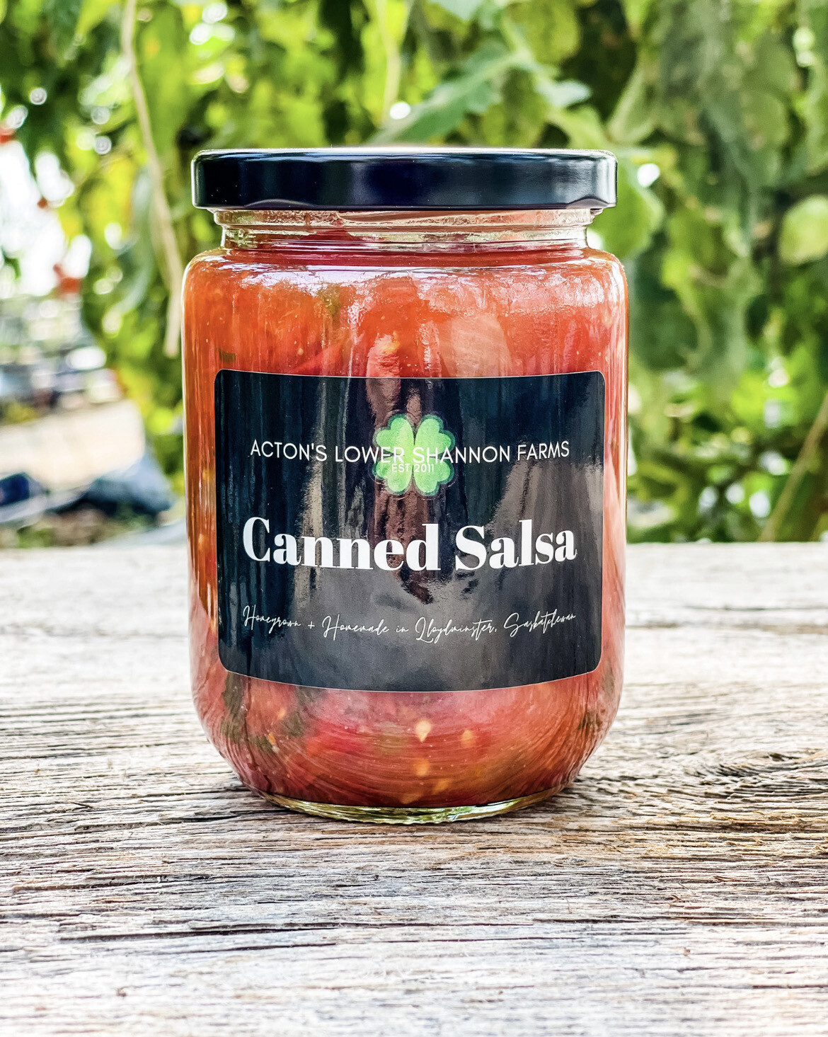 Canned Salsa (375ml)