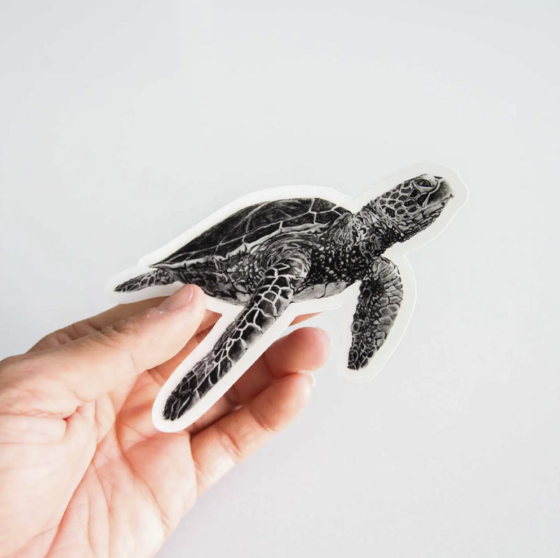 Hand-drawn Turtle Sticker (Dishwasher Safe)