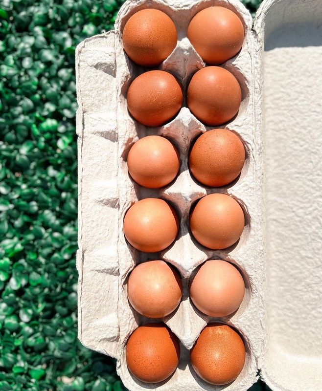 1 Dozen Eggs