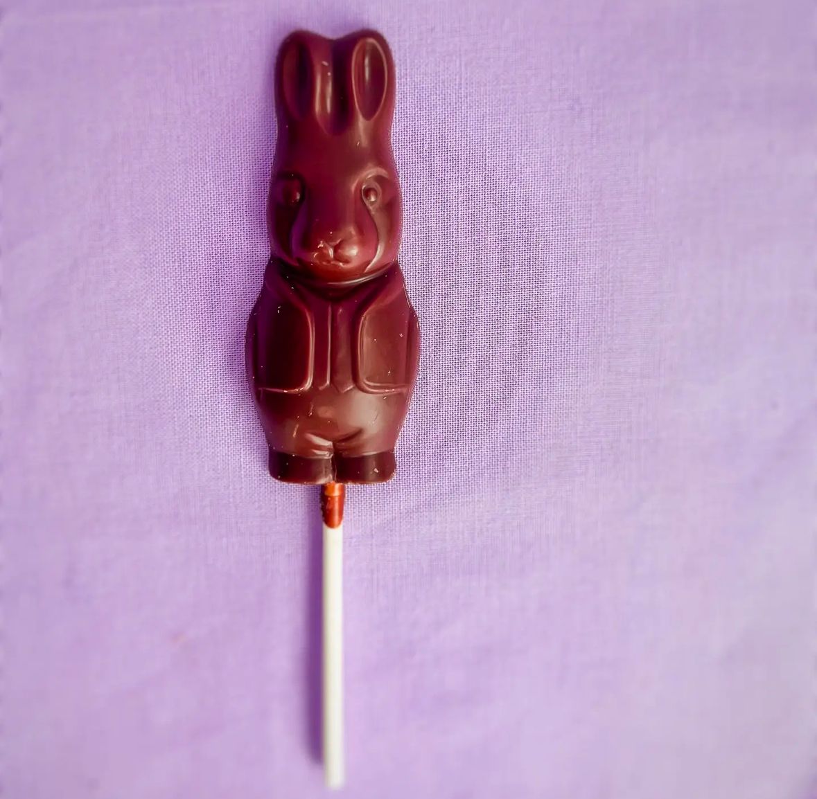 Mr. Bunny Chocolate Lollipop