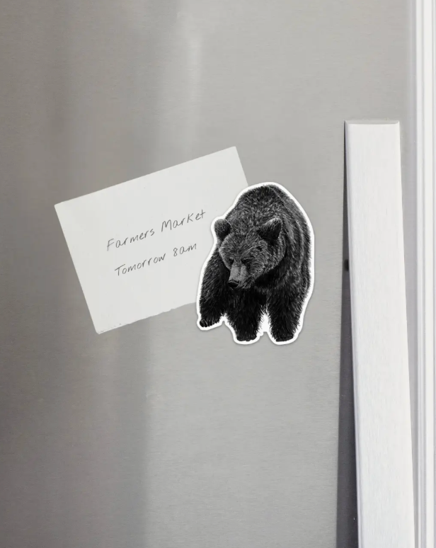 Hand-drawn Bear Magnet