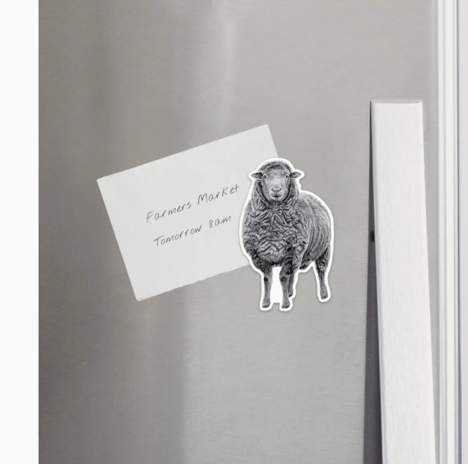 Hand-drawn Sheep Magnet