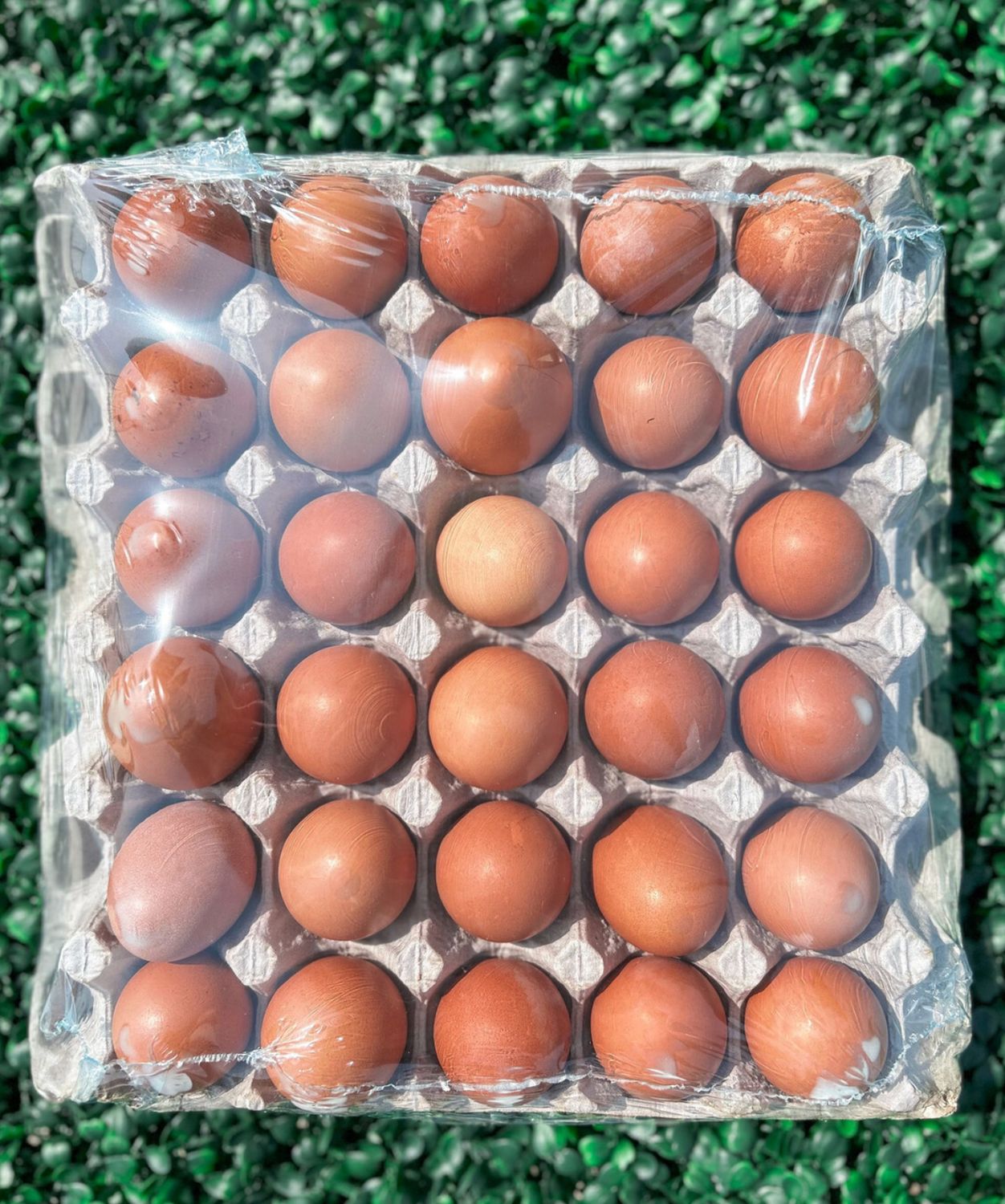 Pullet Egg Flat (30 eggs)