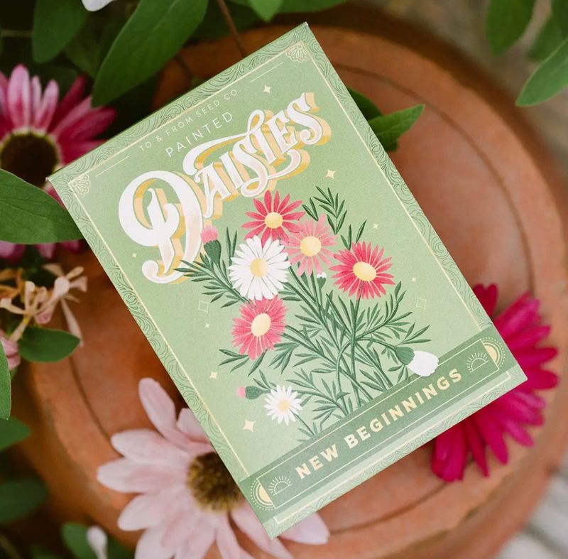 Painted Daisies Seed Packet